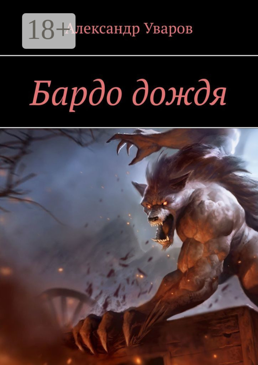 Обложка книги «Бардо дождя»