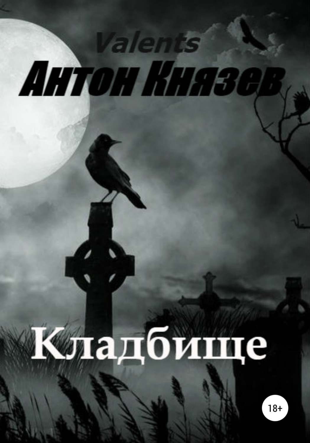 Обложка книги «Кладбище»