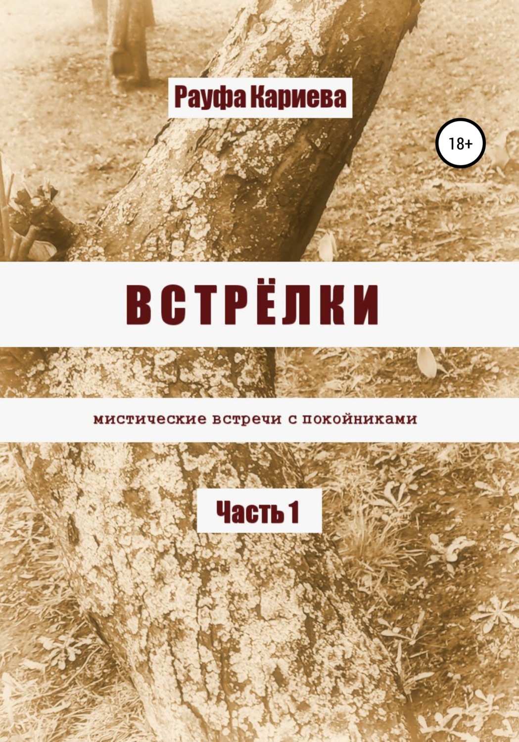 Обложка книги «Встрёлки»