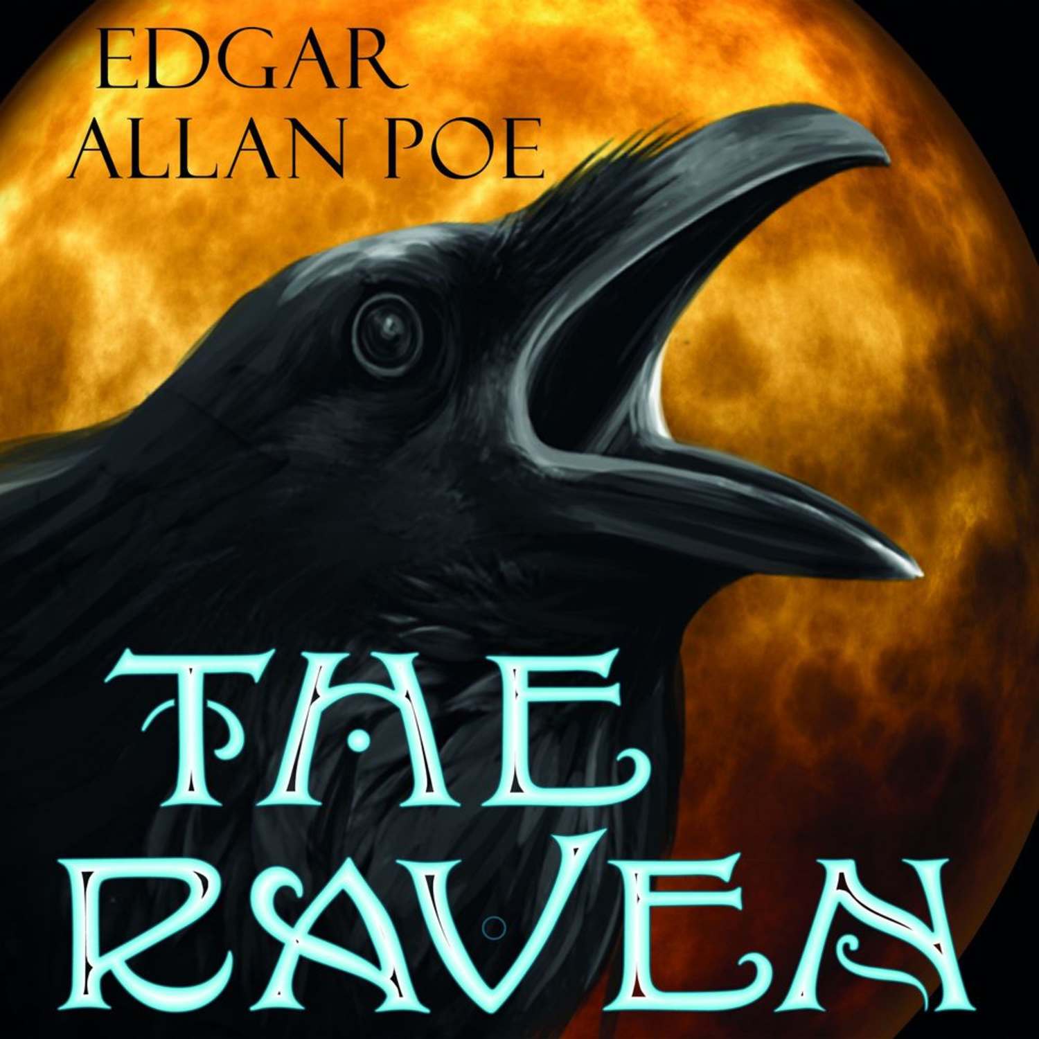 Обложка книги «The Raven»