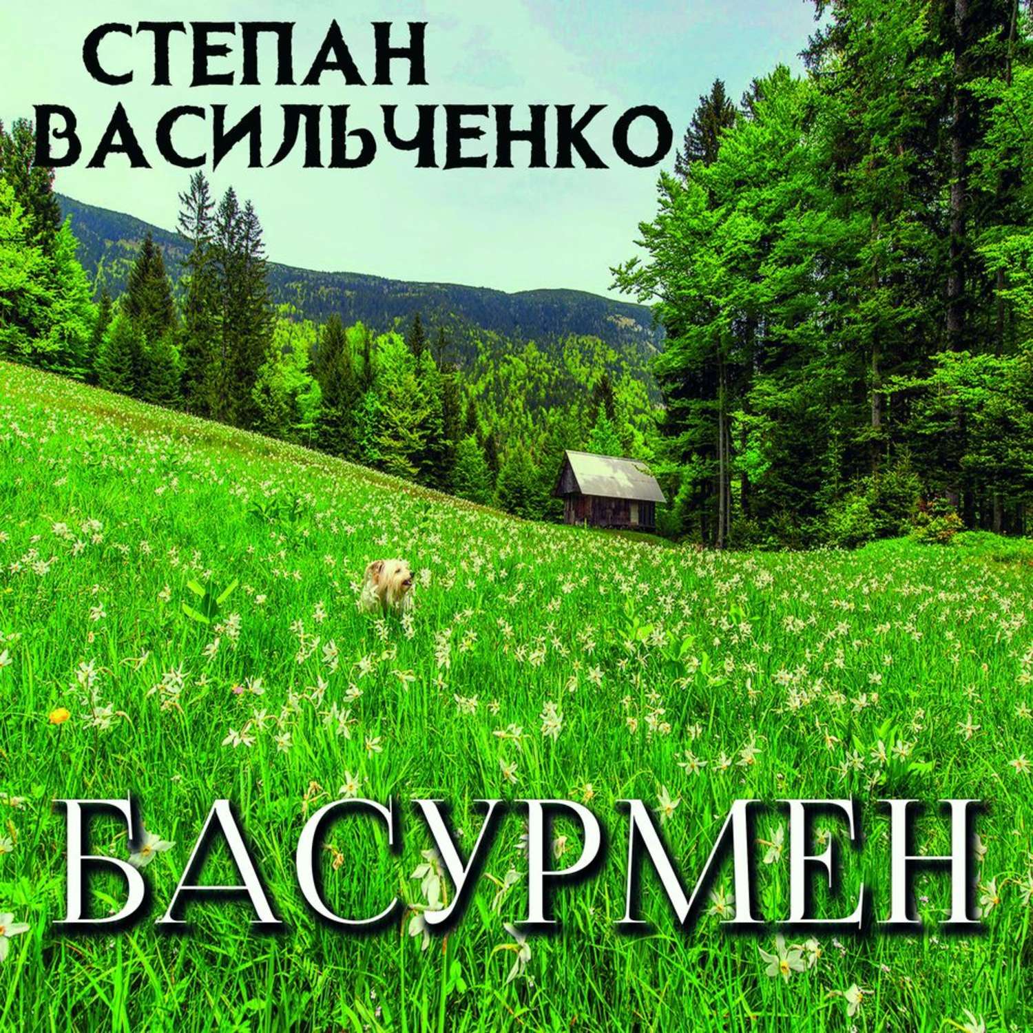 Обложка книги «Басурмен»