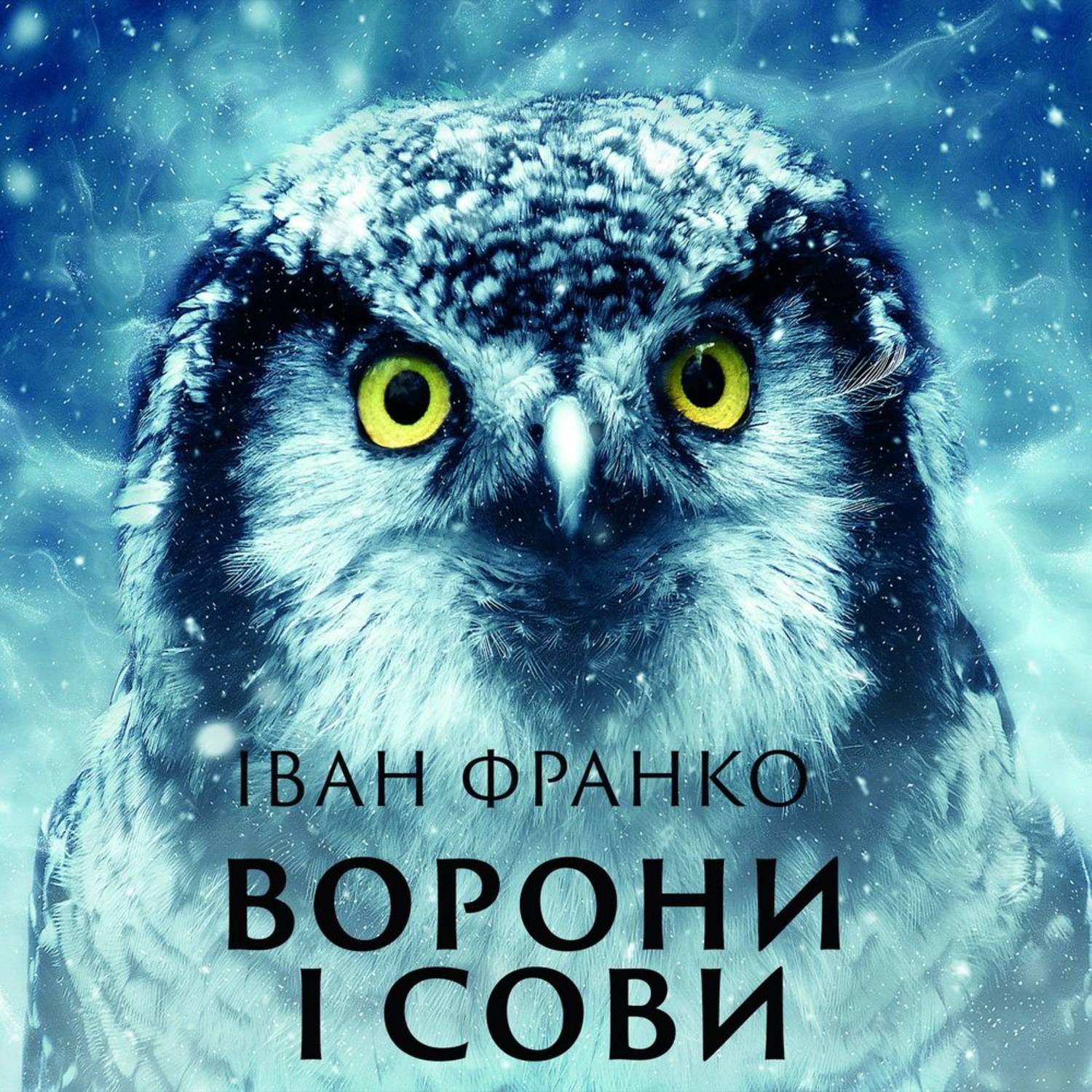 Обложка книги «Ворони і сови»