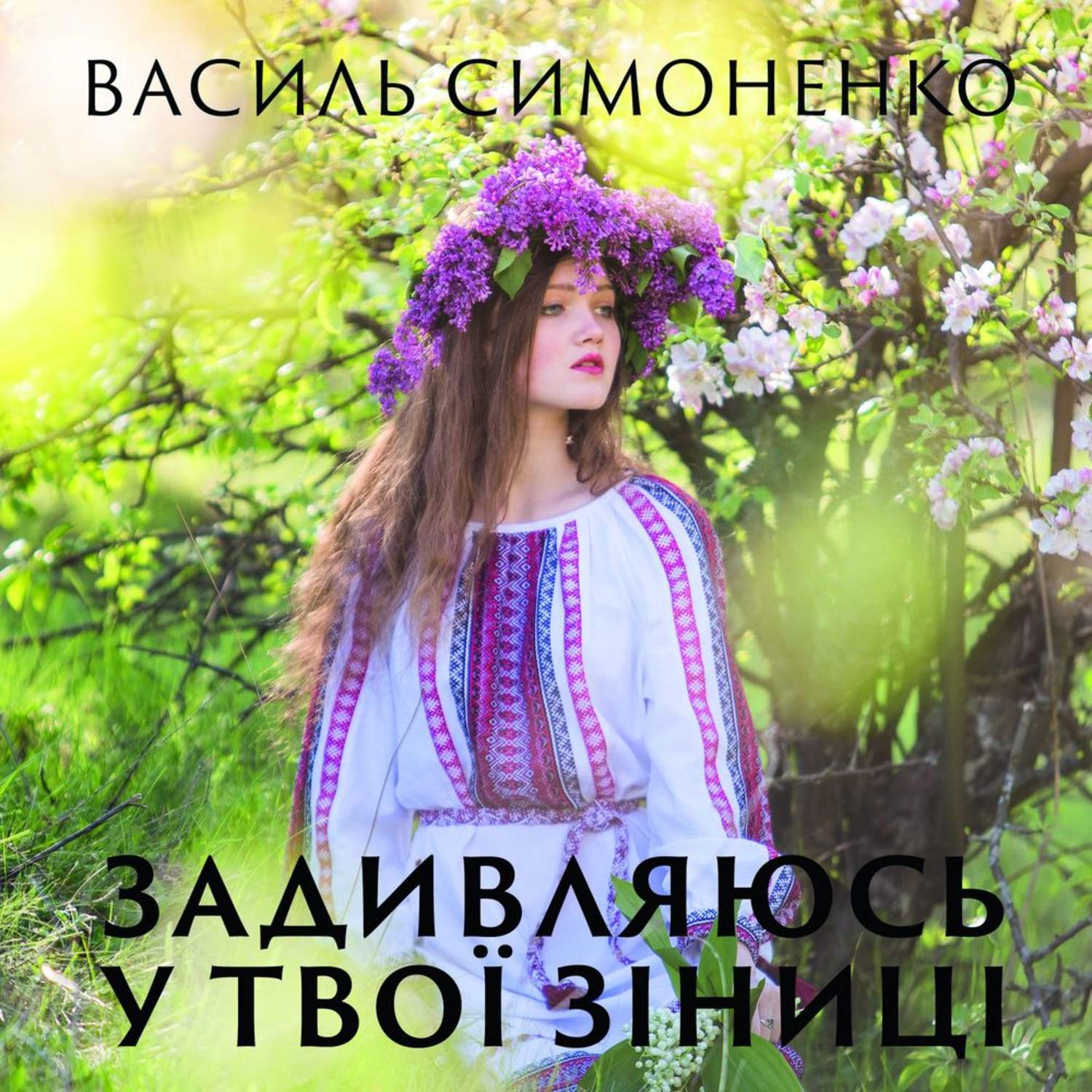 Обложка книги «Задивляюсь у твої зіниці»