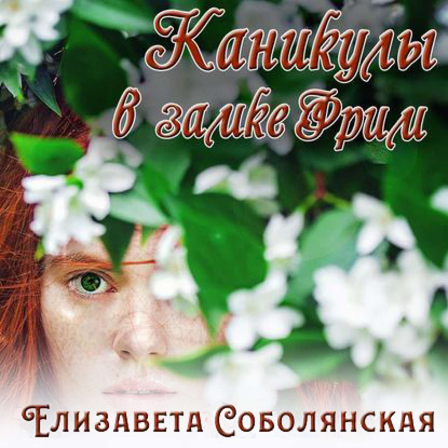 Обложка книги «Каникулы в замке Фрим»