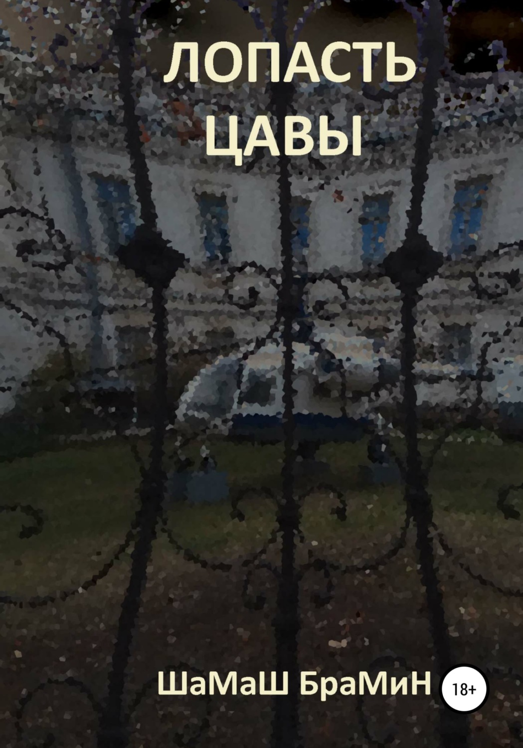 Обложка книги «Лопасть цавы»