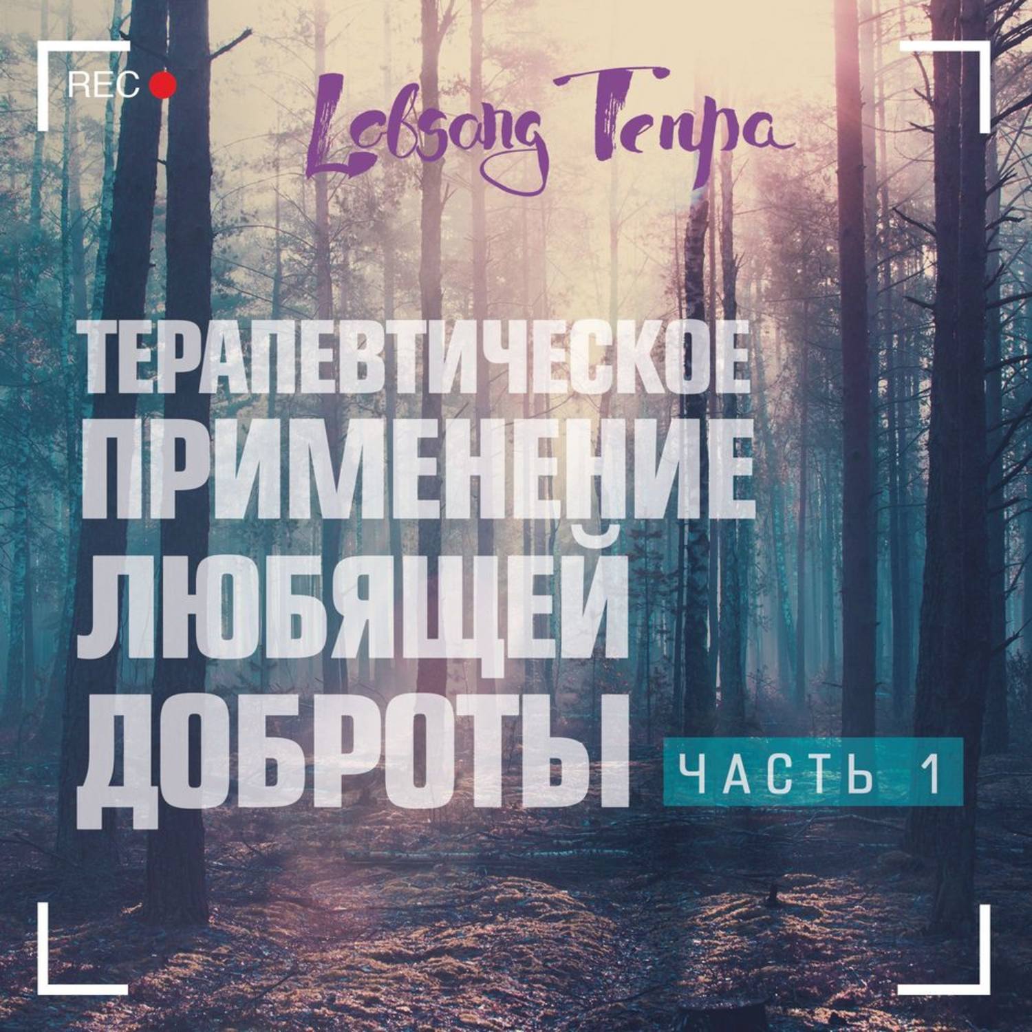 Обложка книги «Терапевтическое применение практики любящей доброты. Часть 1»