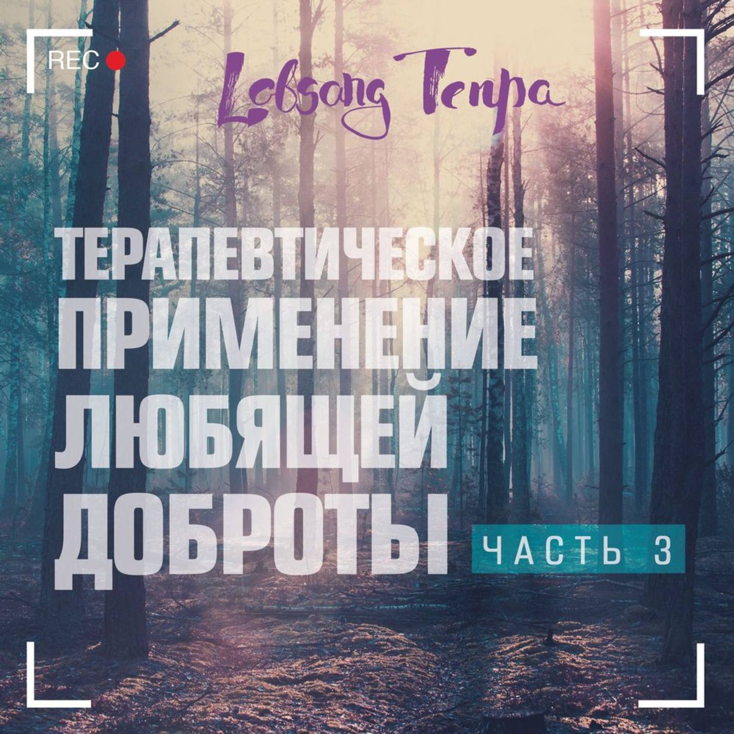 Обложка книги «Терапевтическое применение практики любящей доброты. Часть 3»