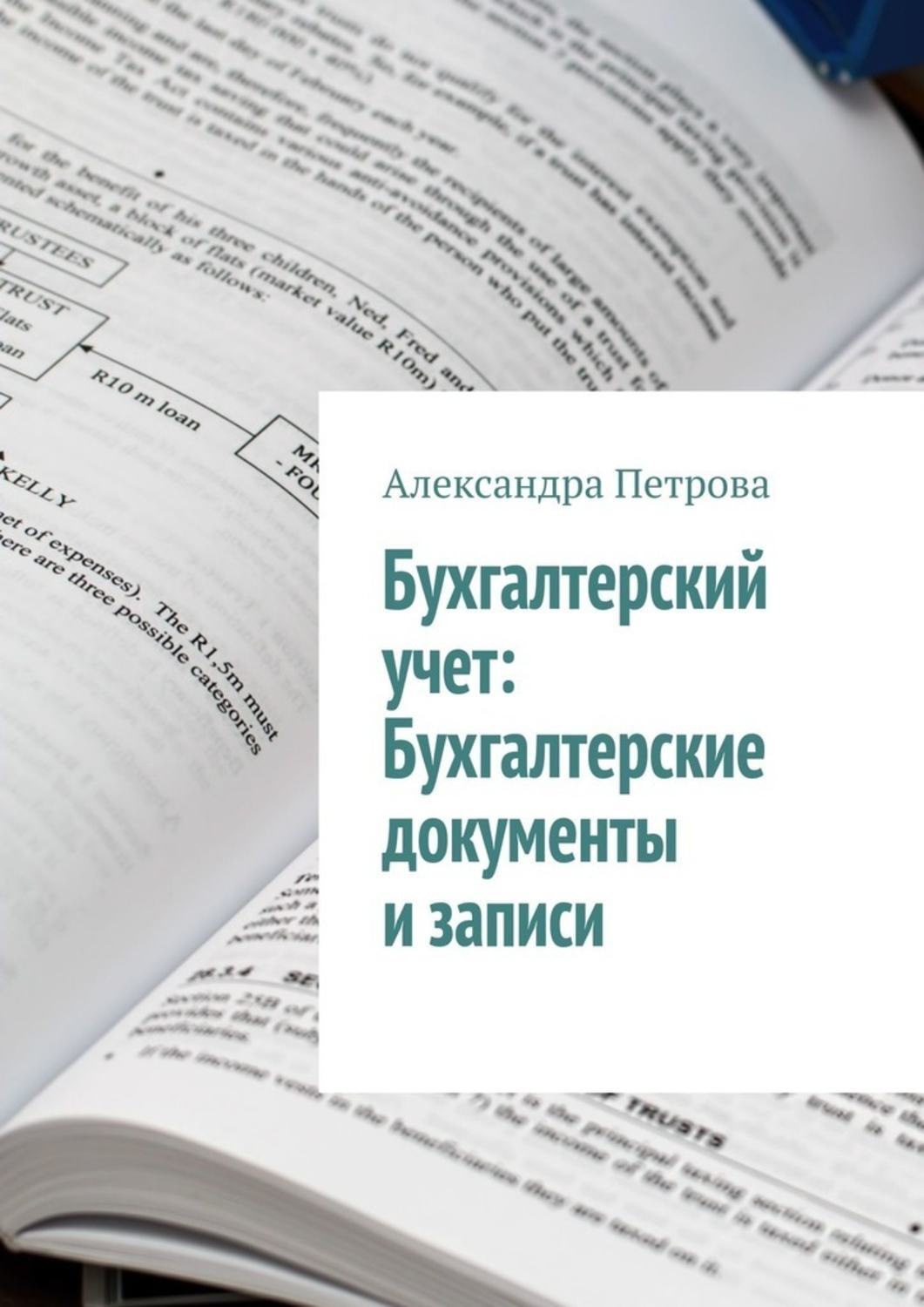 Обложка книги «Бухгалтерский учет: Бухгалтерские документы и записи»