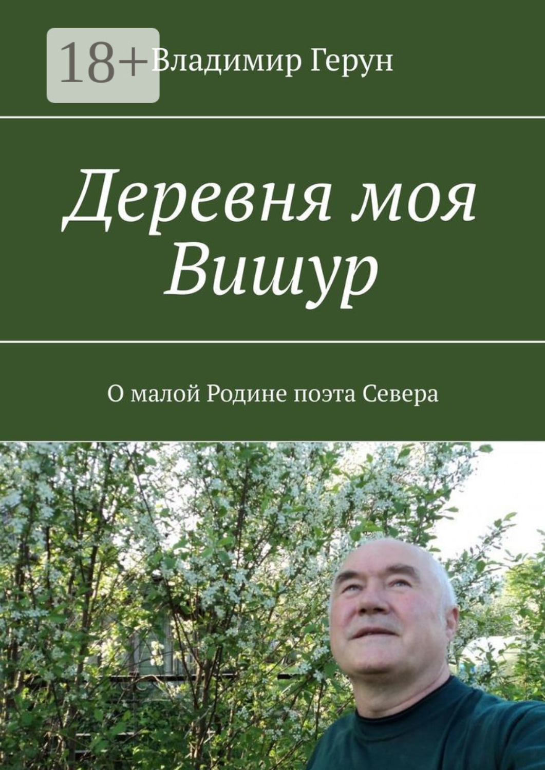 Обложка книги «Деревня моя Вишур. О малой Родине поэта Севера»