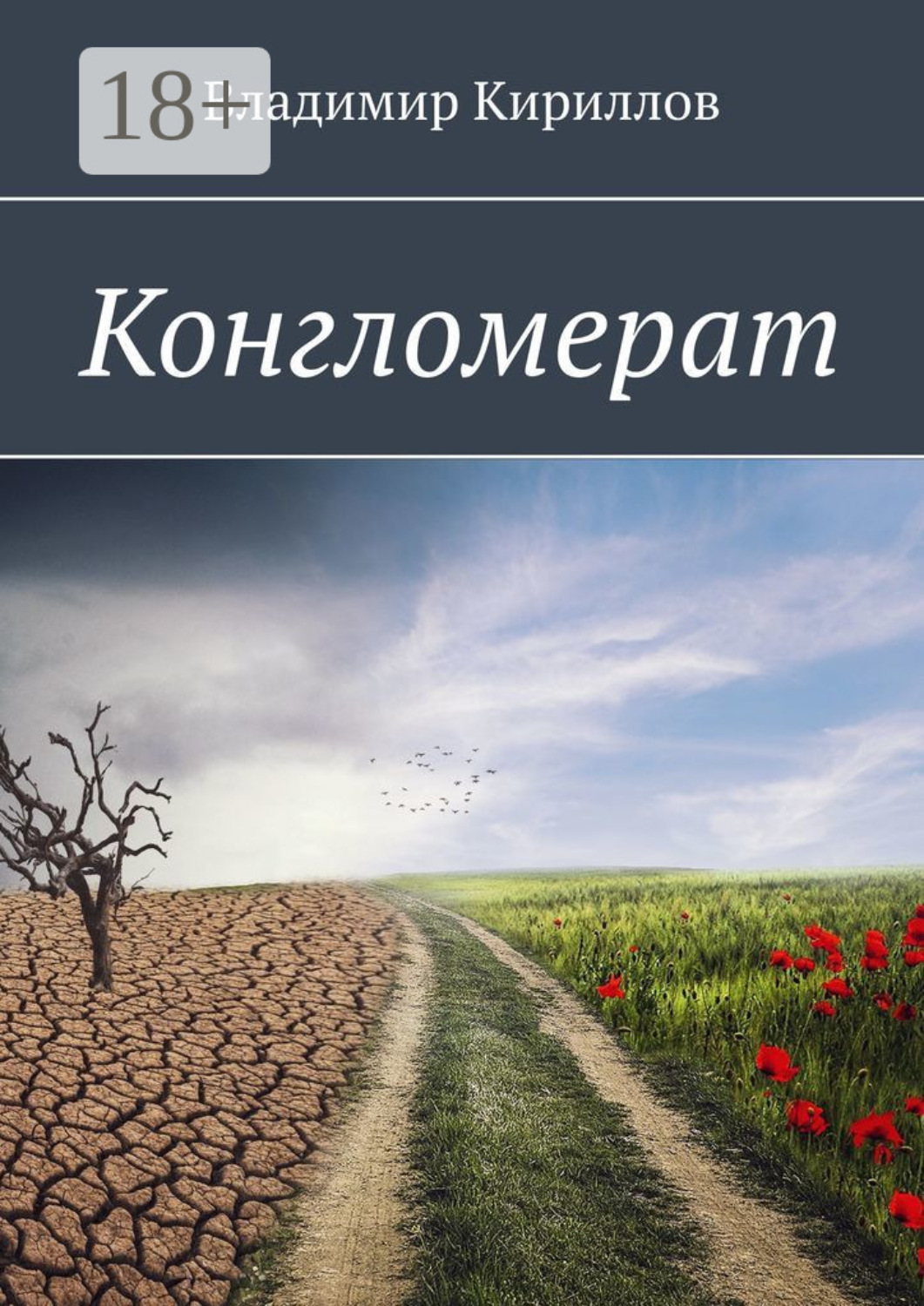 Обложка книги «Конгломерат»