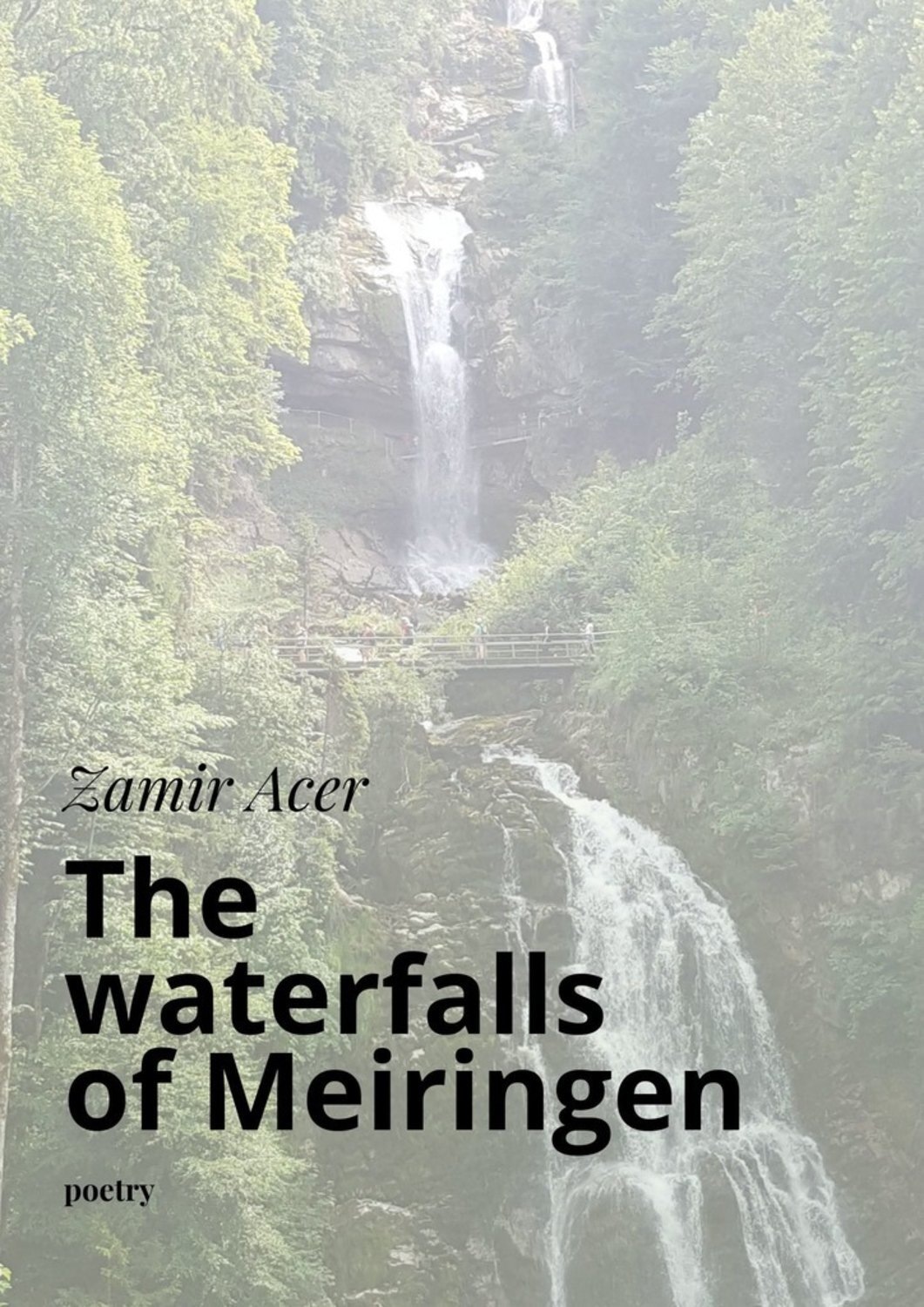 Обложка книги «The waterfalls of Meiringen. poetry»