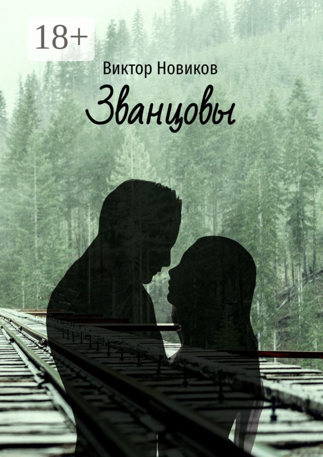 Обложка книги «Званцовы»