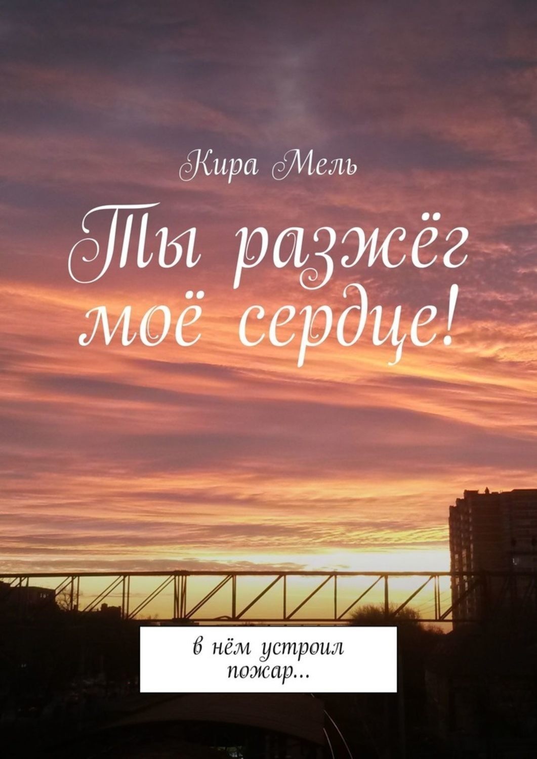 Обложка книги «Ты разжёг моё сердце! В нём устроил пожар…»