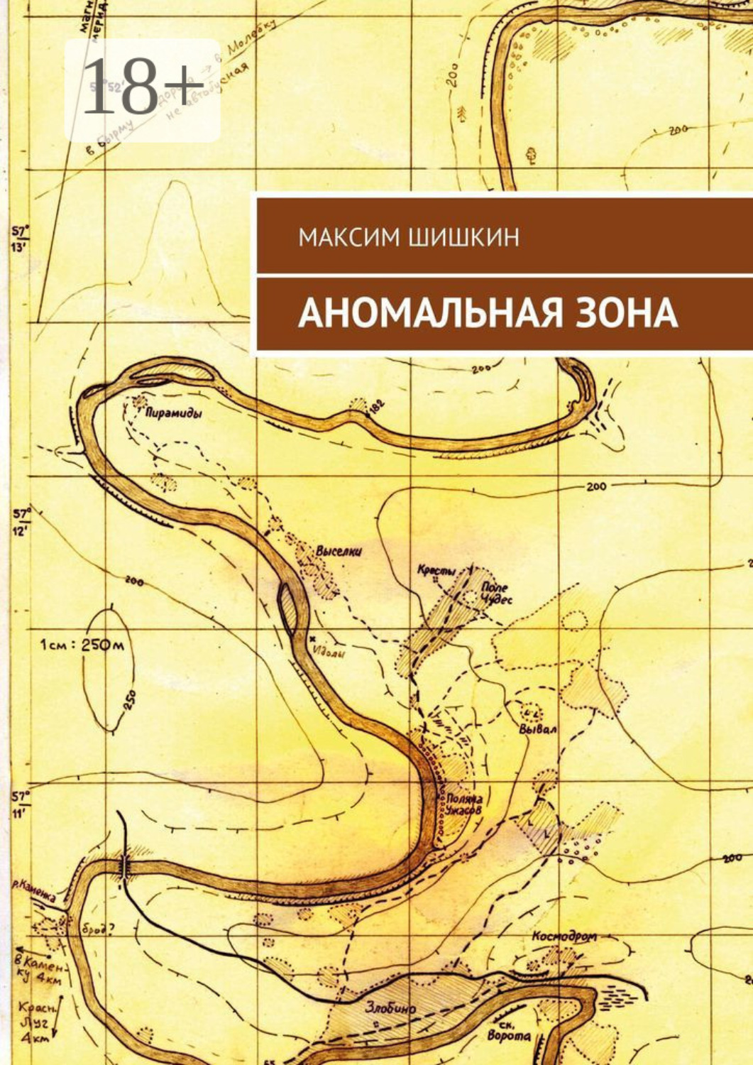 Обложка книги «Аномальная зона»
