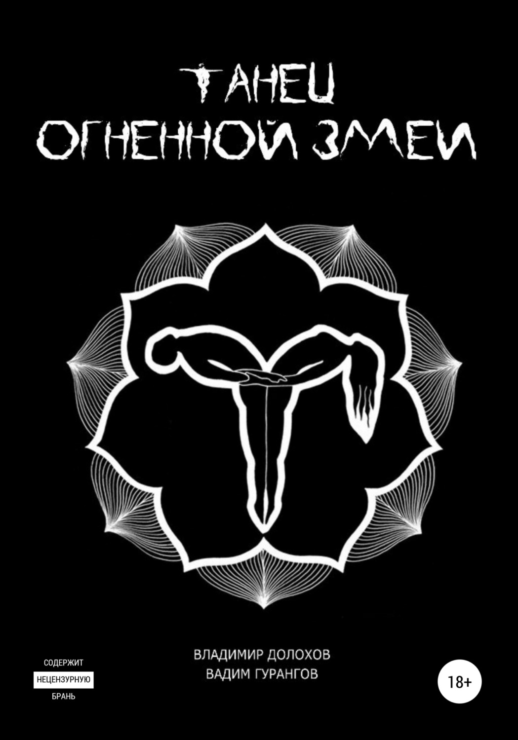 Обложка книги «Танец огненной змеи»