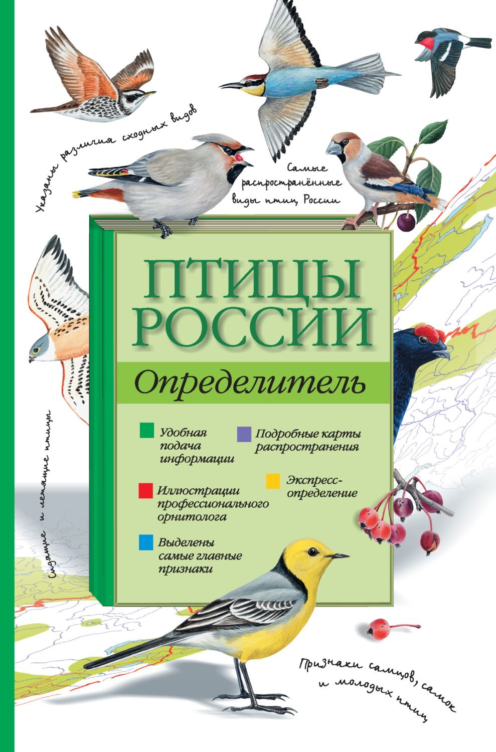 Обложка книги «Птицы России. Определитель»