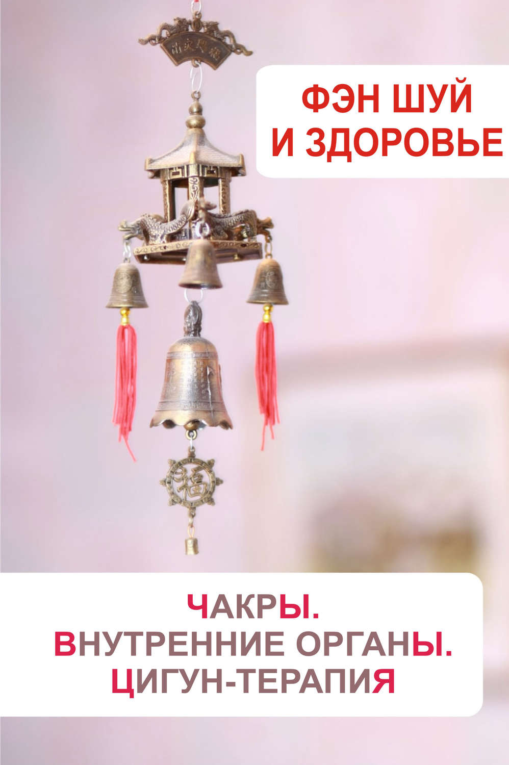 Обложка книги «Фэн-шуй и здоровье. Чакры. Внутренние органы. Цигун-терапия»