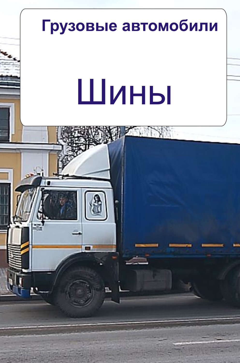Обложка книги «Грузовые автомобили. Шины»