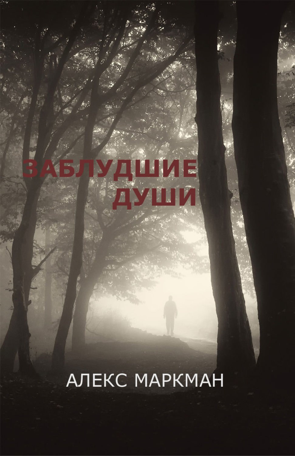 Обложка книги «Заблудшие души (сборник)»