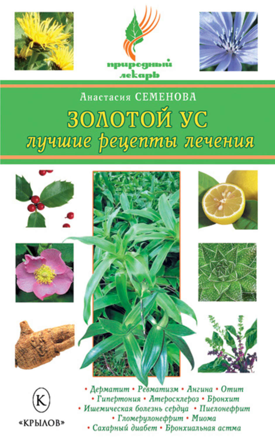 Обложка книги «Золотой ус. Лучшие рецепты лечения»