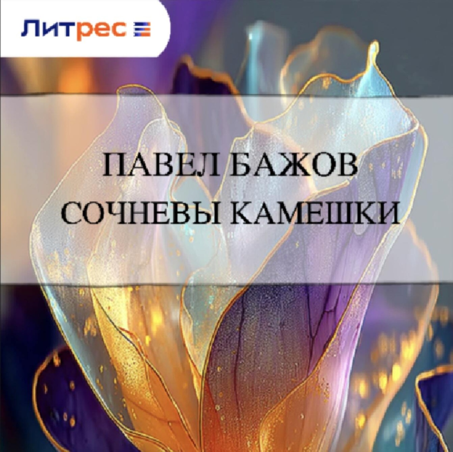 Обложка книги «Сочневы камешки»