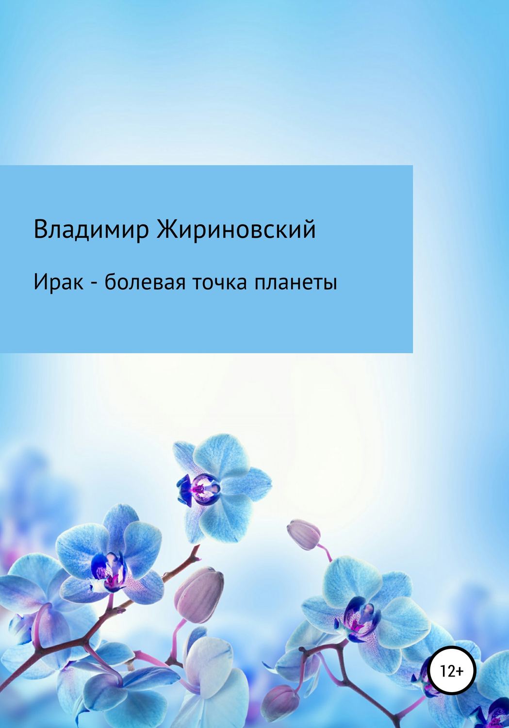Обложка книги «Ирак – болевая точка планеты»