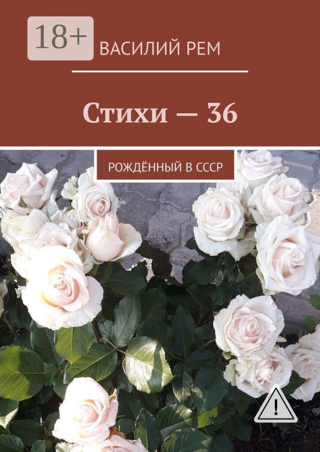 Обложка книги «Стихи — 36. Рождённый в СССР»
