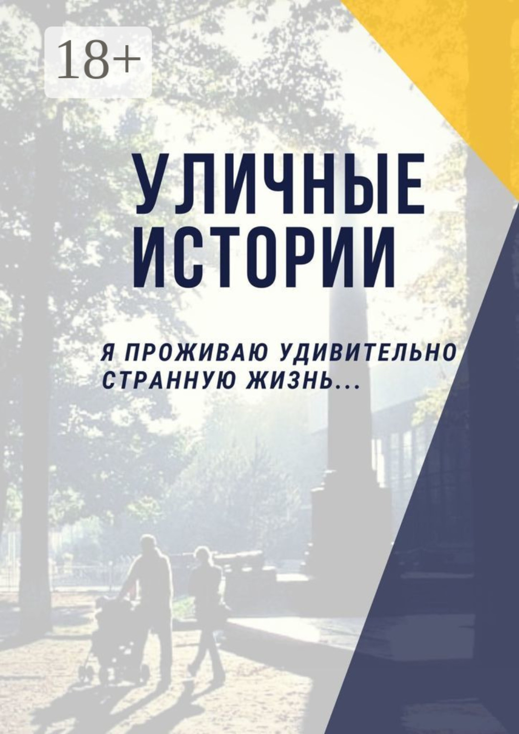 Обложка книги «Уличные истории. Я проживаю удивительно странную жизнь…»