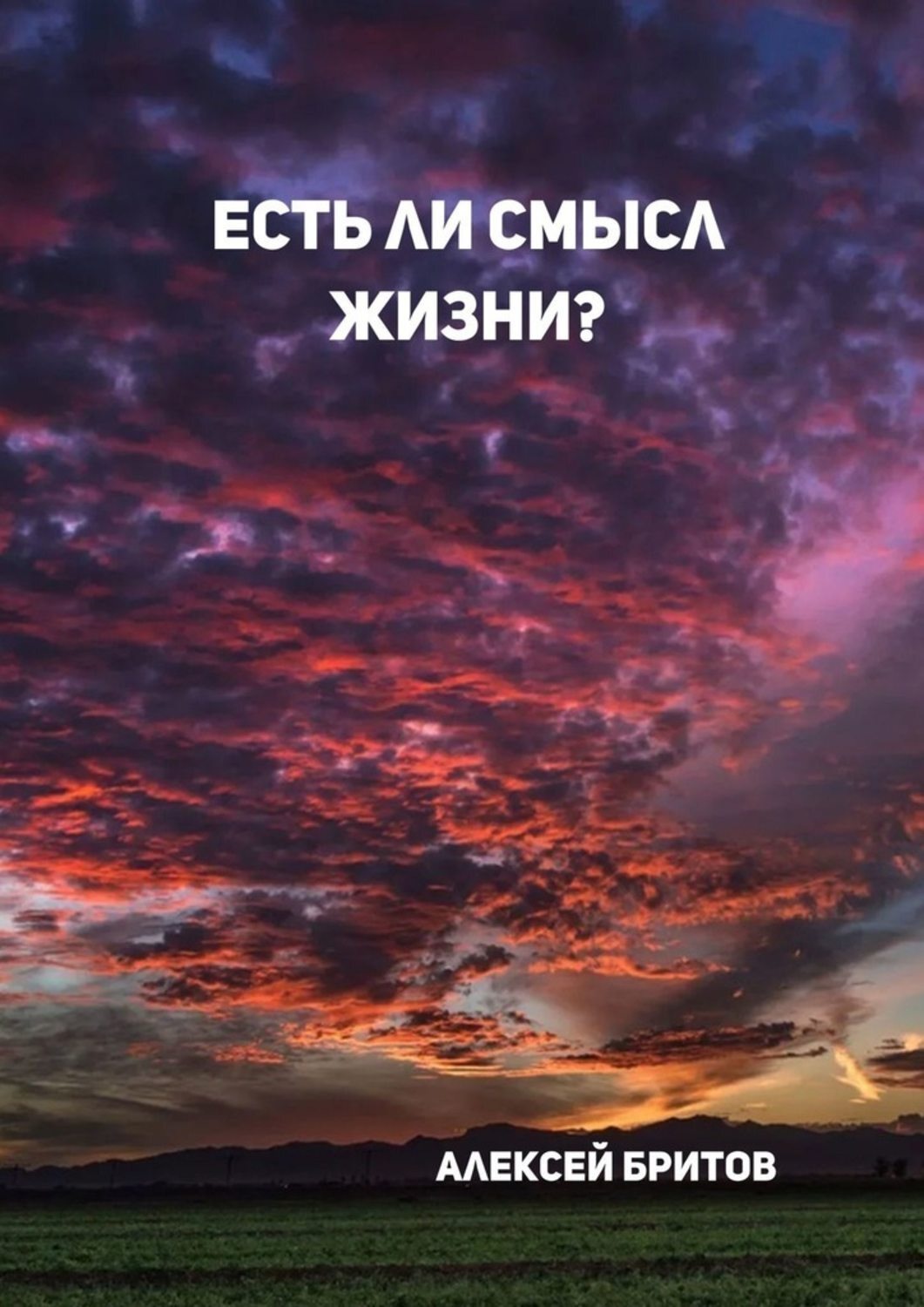 Обложка книги «Есть ли смысл жизни?»