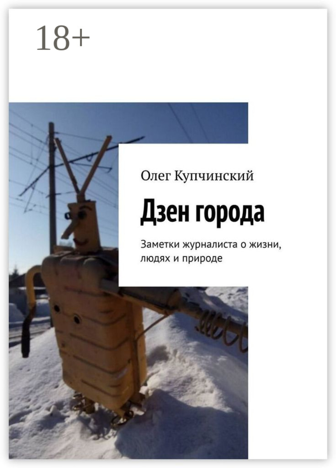 Обложка книги «Дзен города. Заметки журналиста о жизни, людях и природе»