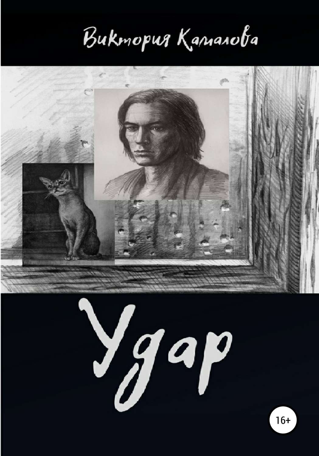 Обложка книги «Удар»