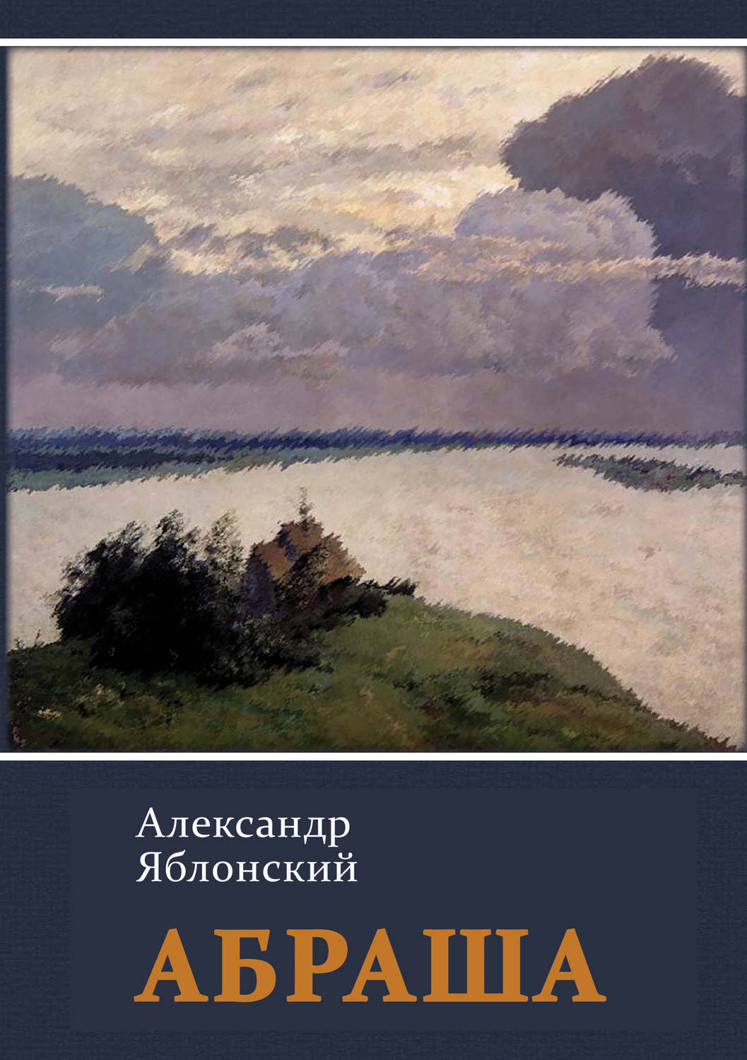 Обложка книги «Абраша»