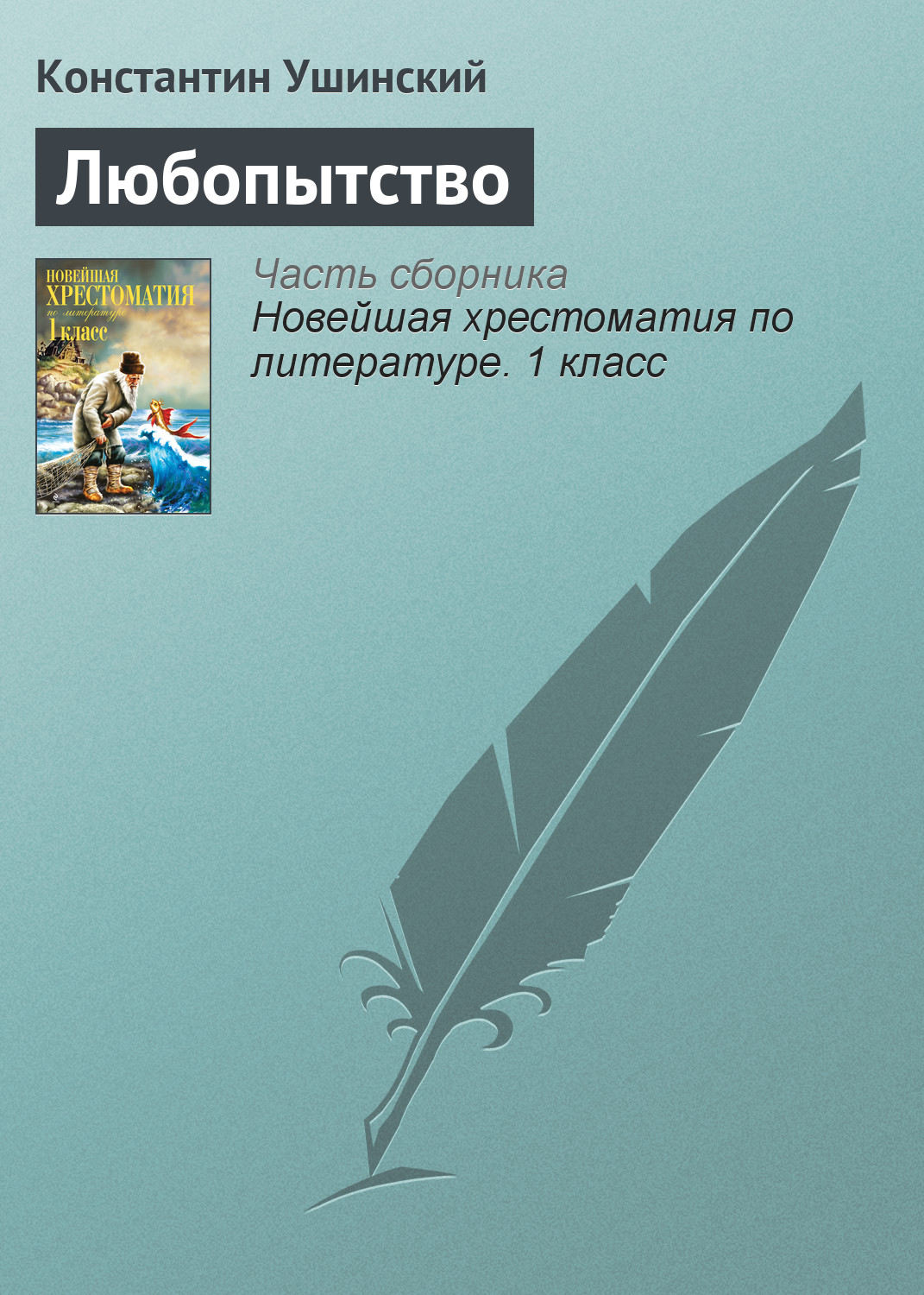 Обложка книги «Любопытство»