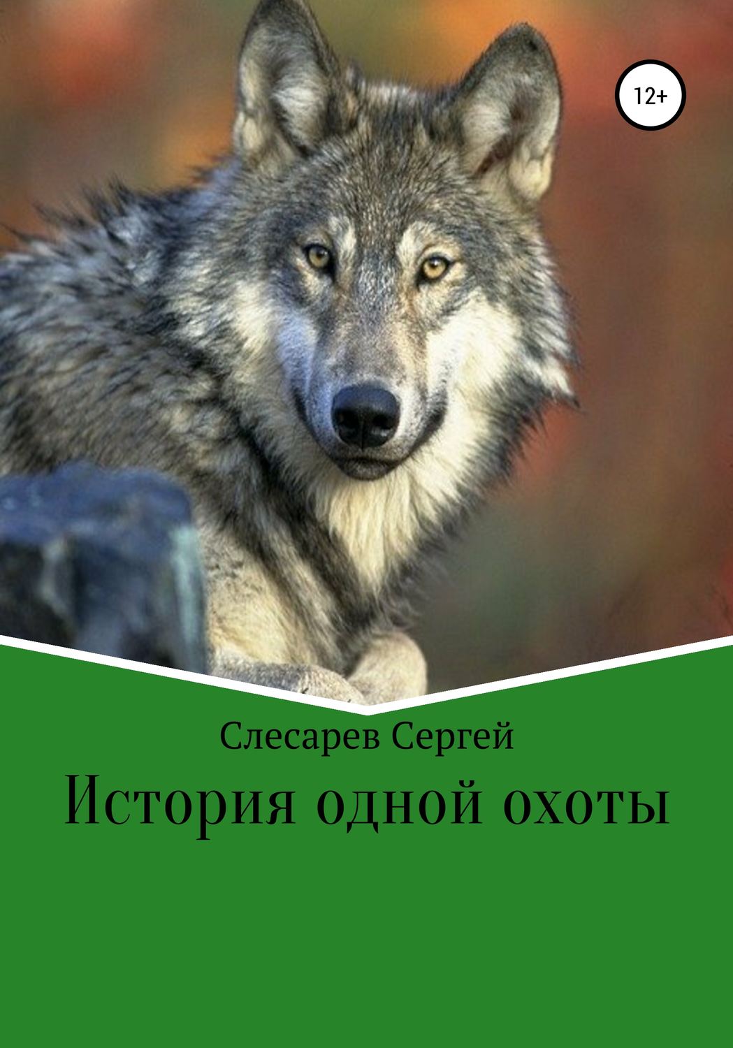 Обложка книги «История одной охоты»