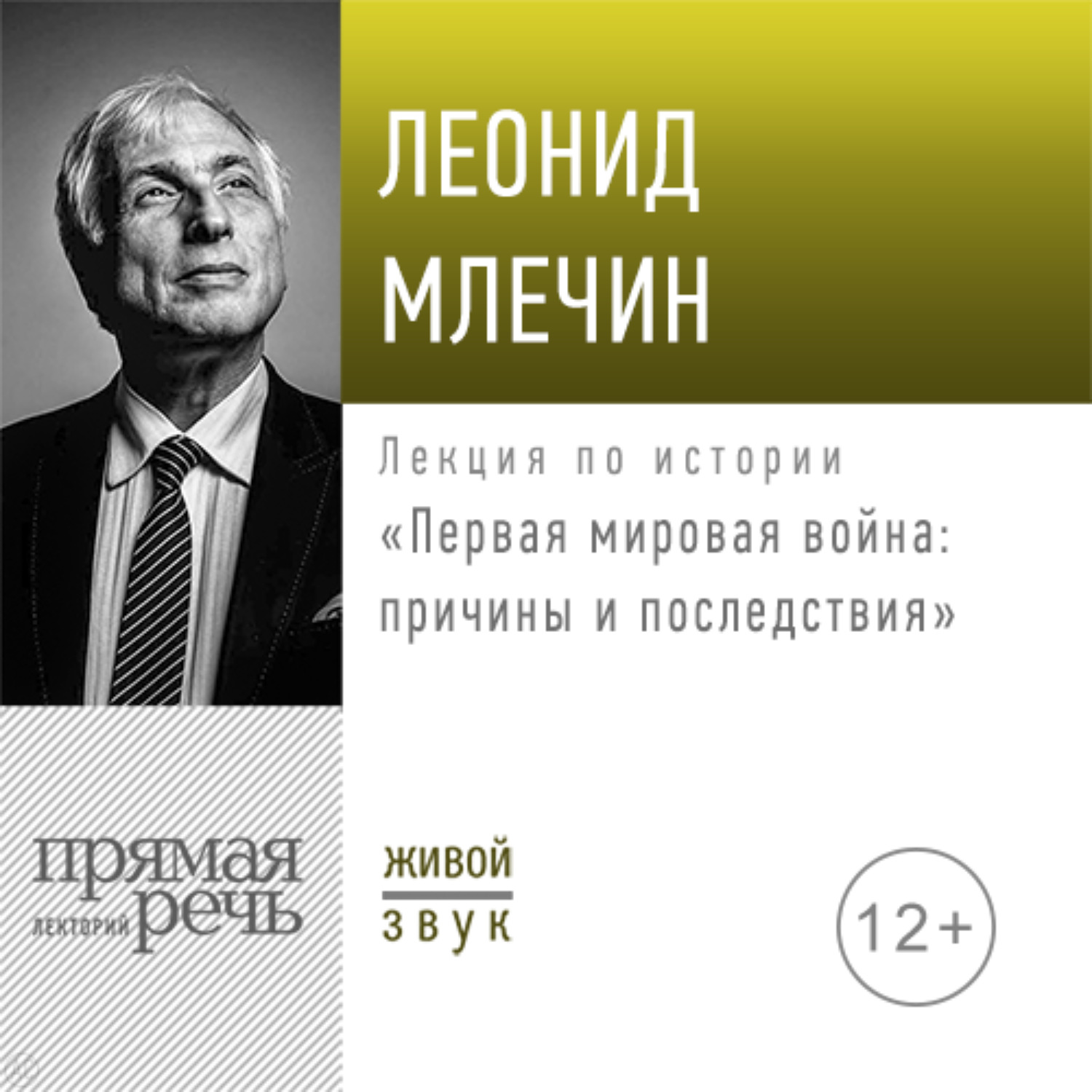 Обложка книги «Лекция «Первая мировая война: причины и последствия»»