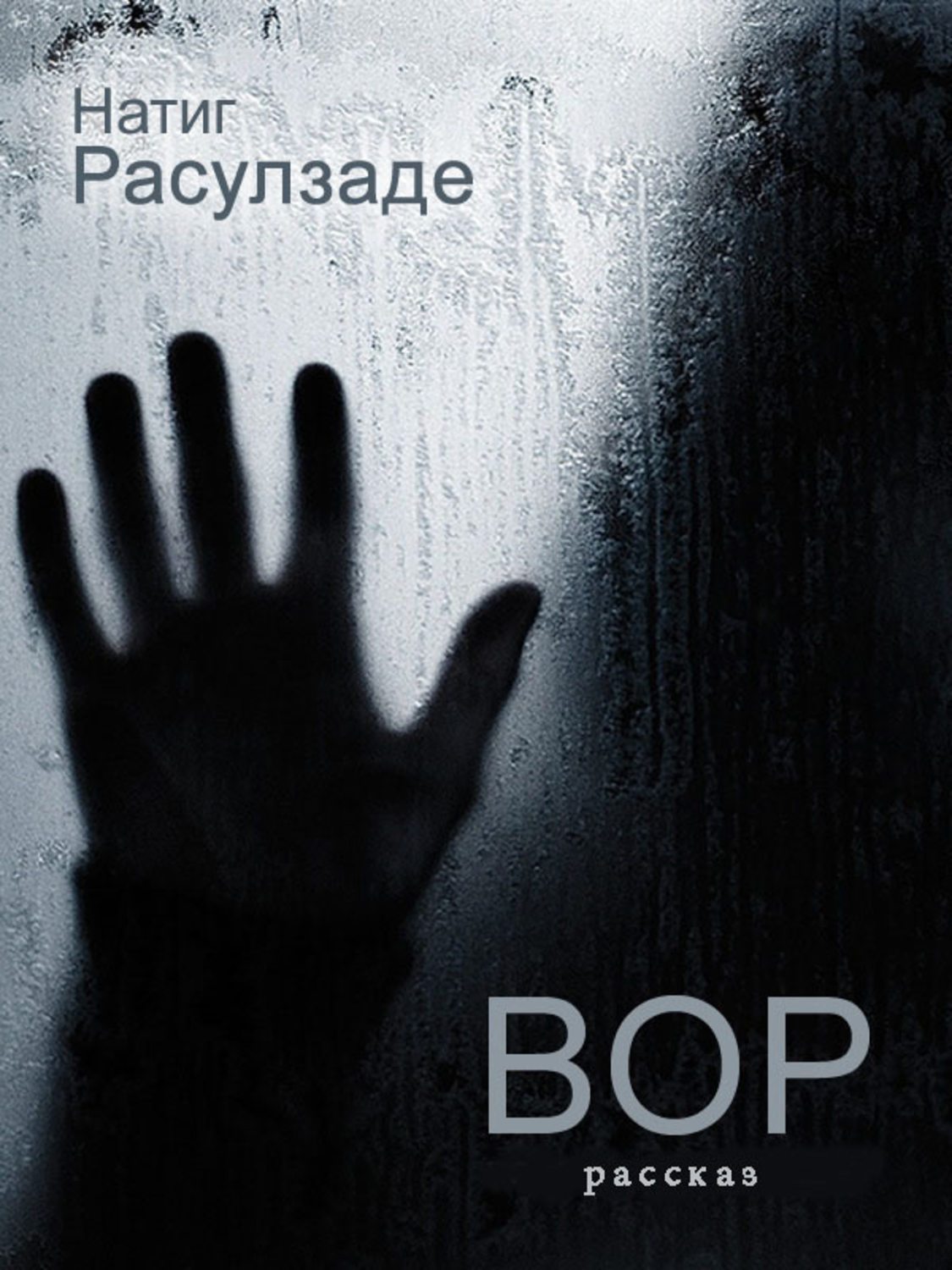 Обложка книги «Вор»