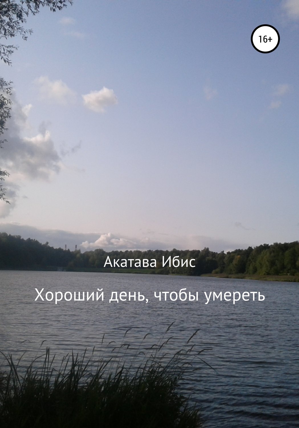 Обложка книги «Хороший день, чтобы умереть»