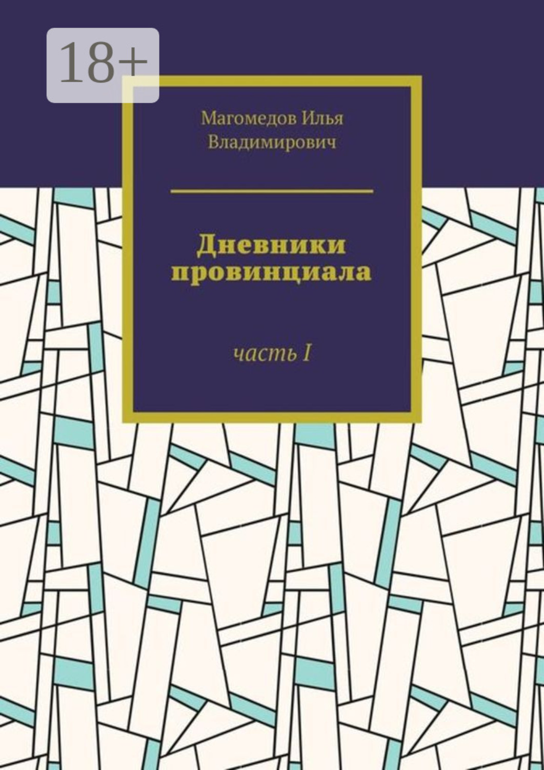 Обложка книги «Дневники провинциала. Часть I»