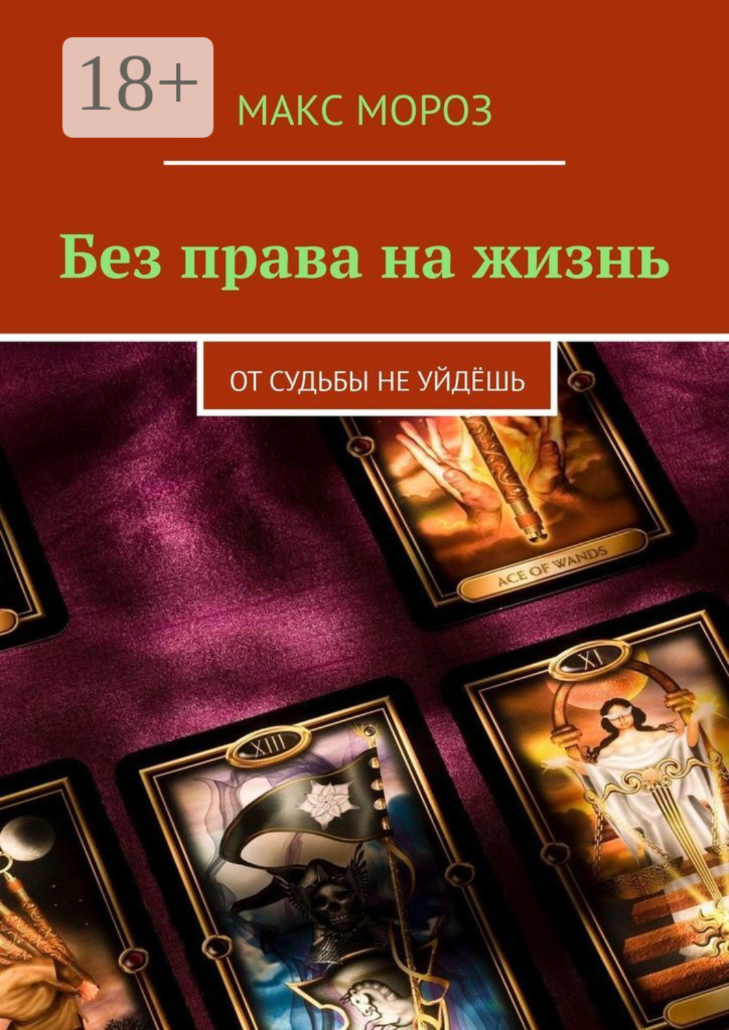 Обложка книги «Без права на жизнь. От судьбы не уйдёшь»