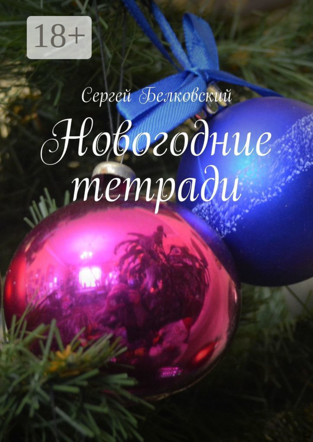 Обложка книги «Новогодние тетради»