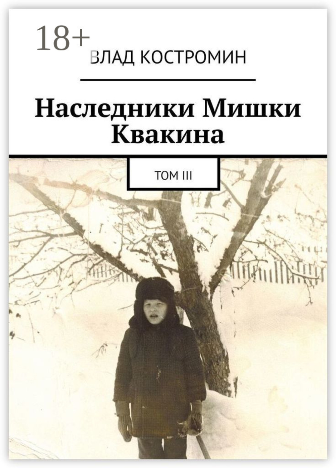Обложка книги «Наследники Мишки Квакина. Том III»