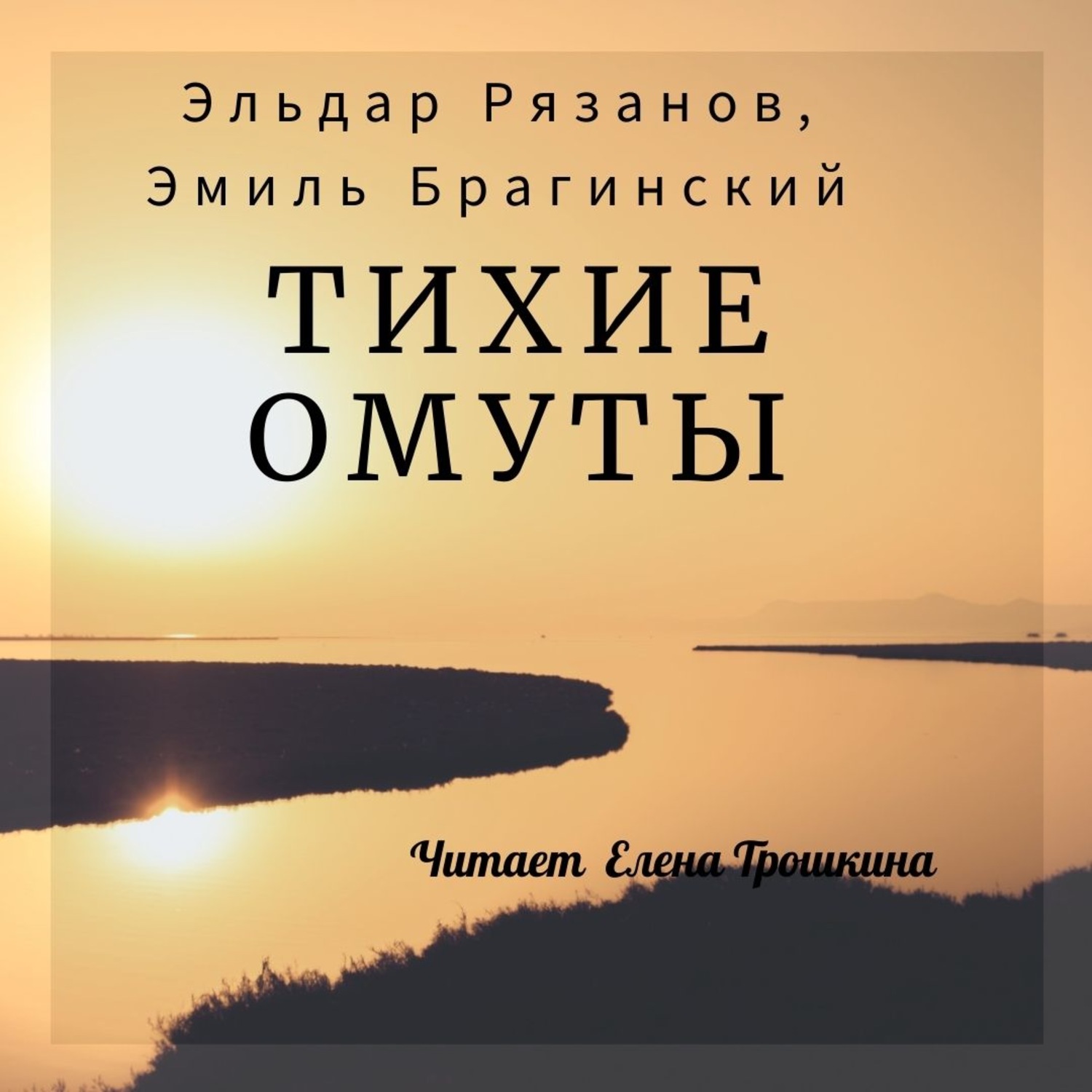 Обложка книги «Тихие омуты»
