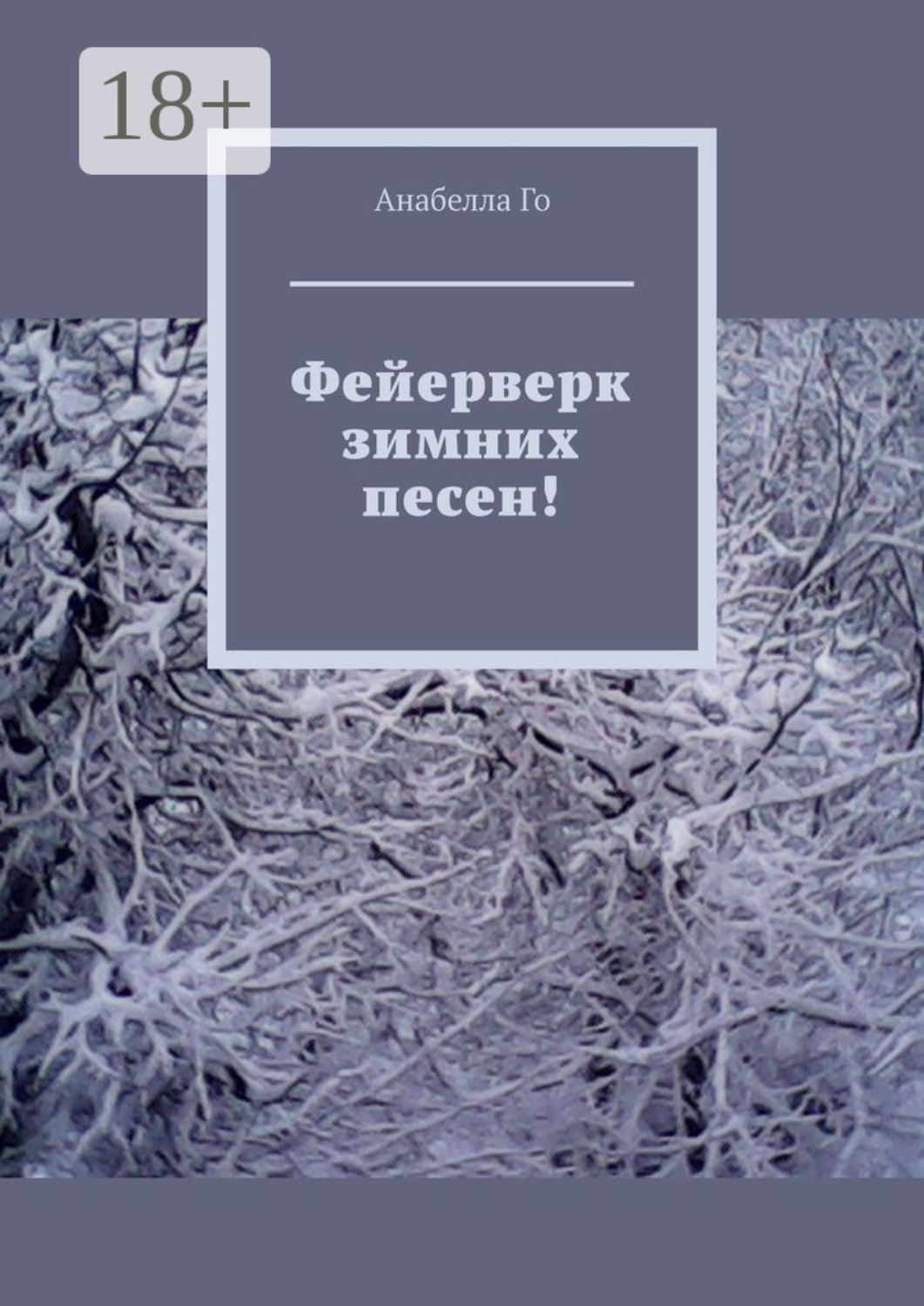 Обложка книги «Фейерверк зимних песен!»