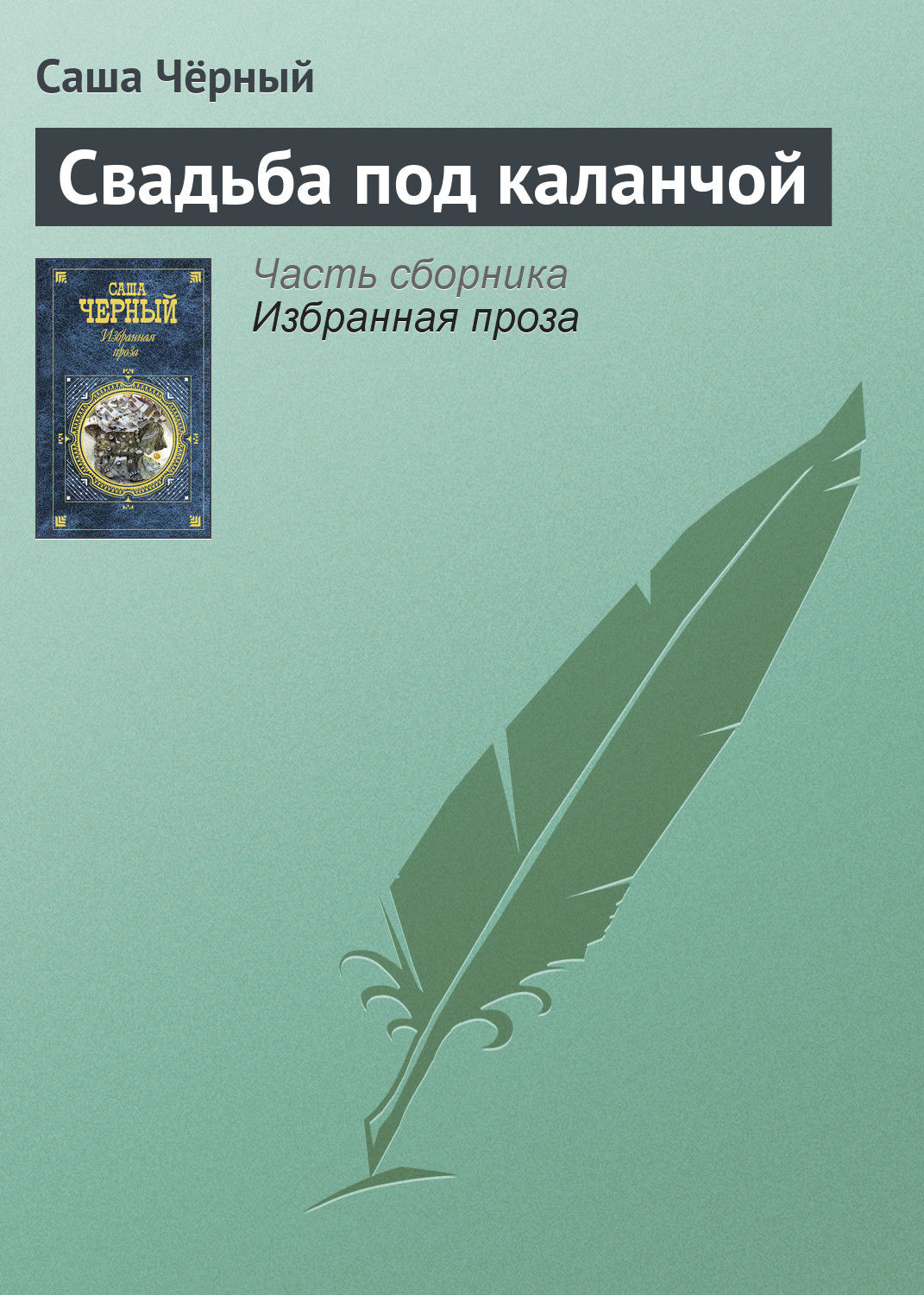Обложка книги «Свадьба под каланчой»