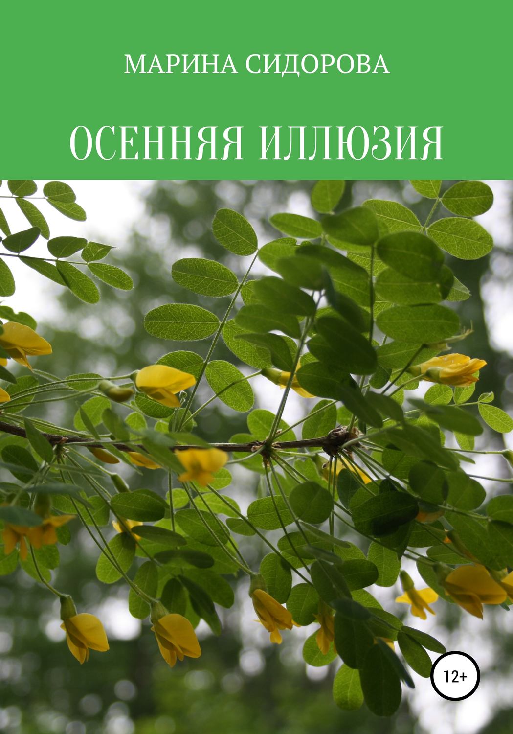 Обложка книги «Осенняя иллюзия»