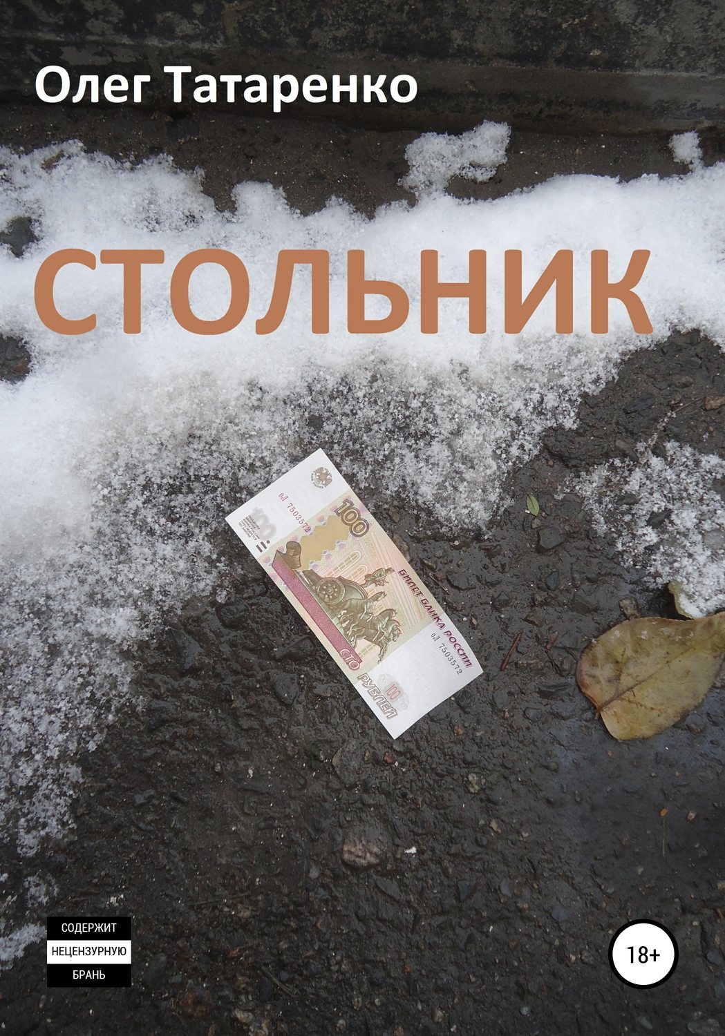 Обложка книги «Стольник»