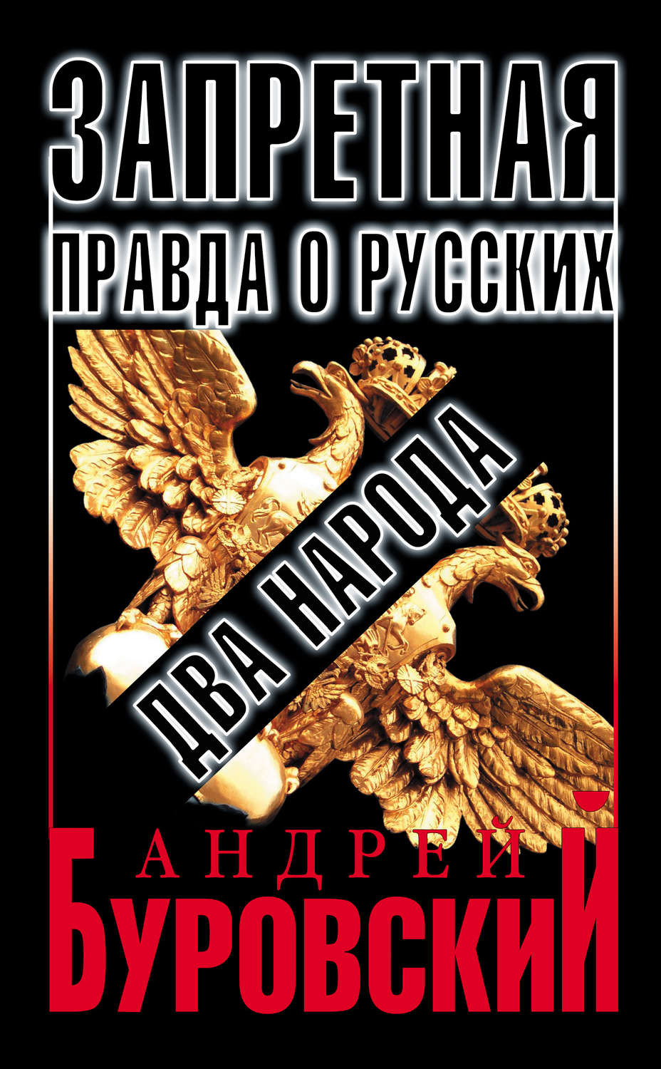 Обложка книги «Запретная правда о русских: два народа»