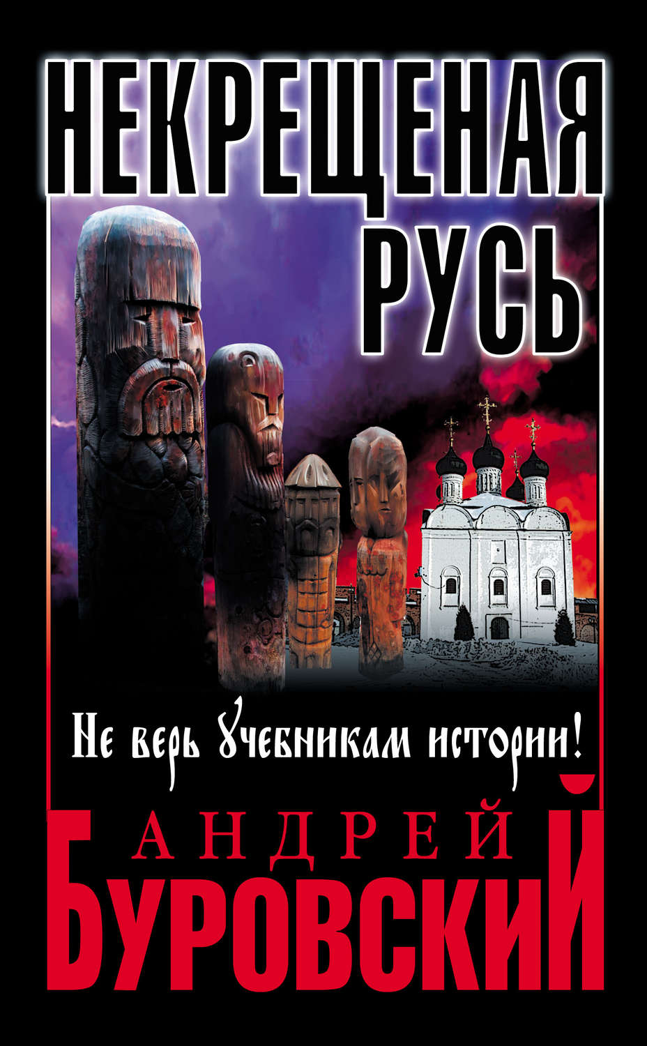 Обложка книги «Некрещеная Русь. Не верь учебникам истории!»