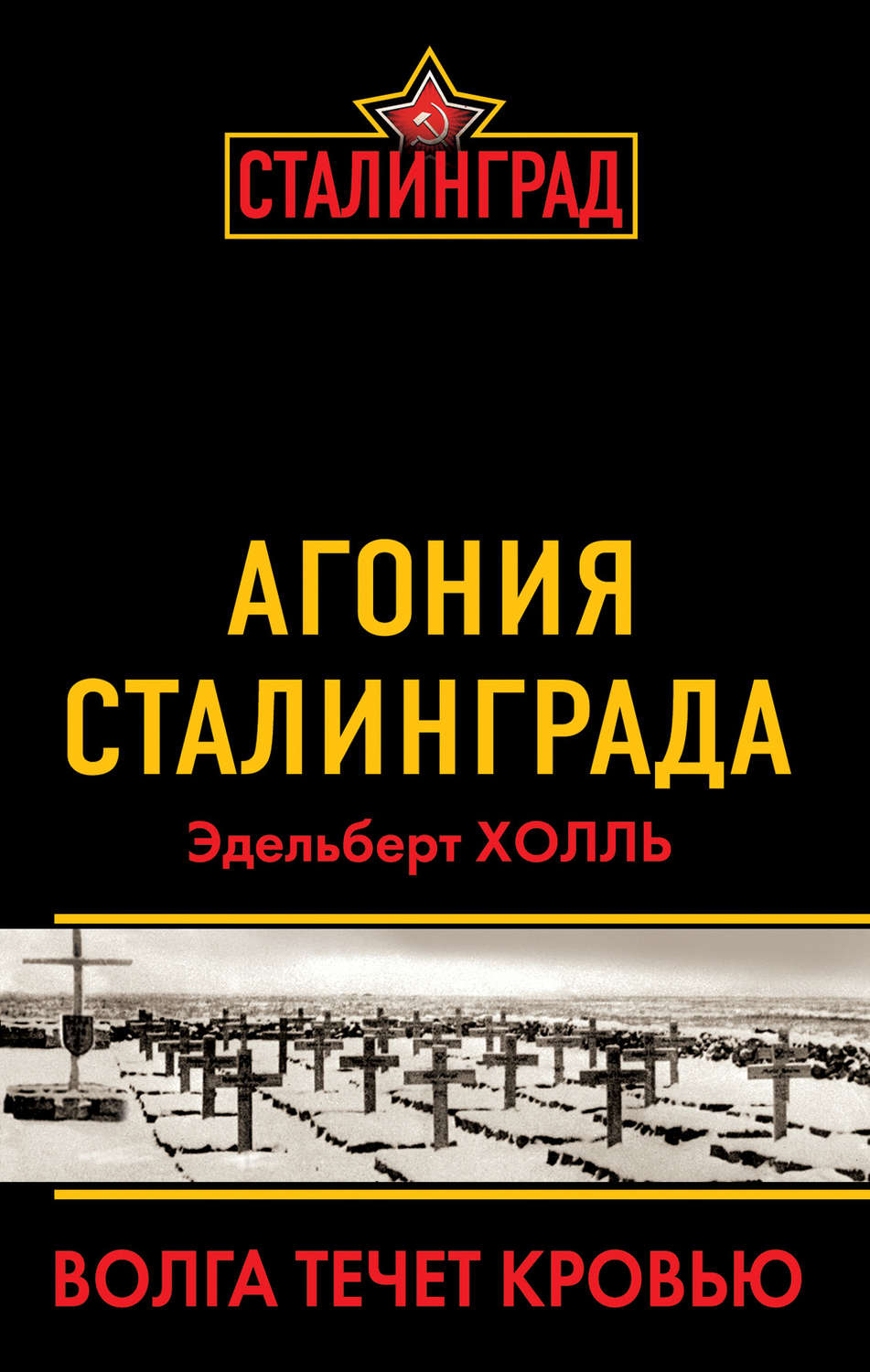 Обложка книги «Агония Сталинграда. Волга течет кровью»
