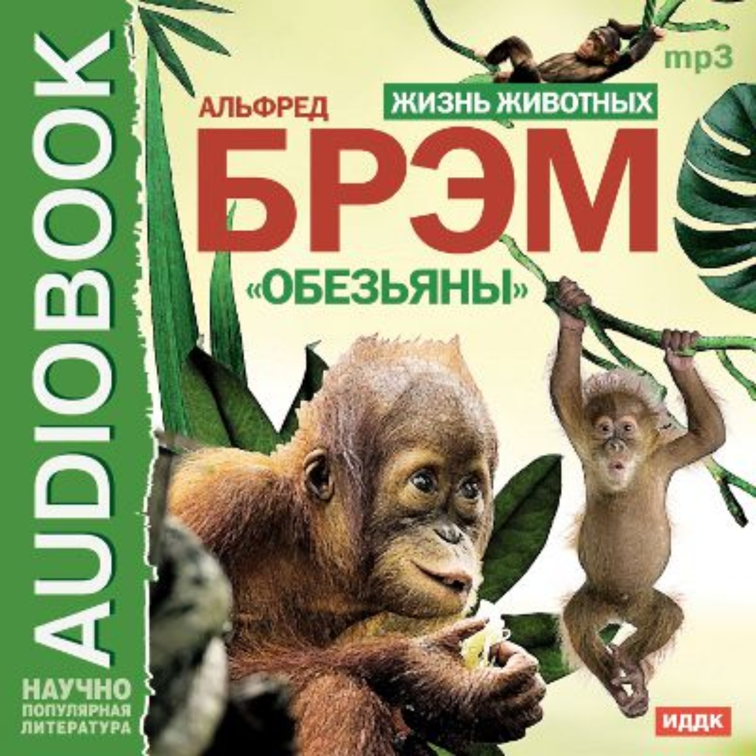 Обложка книги «Жизнь животных. Обезьяны»
